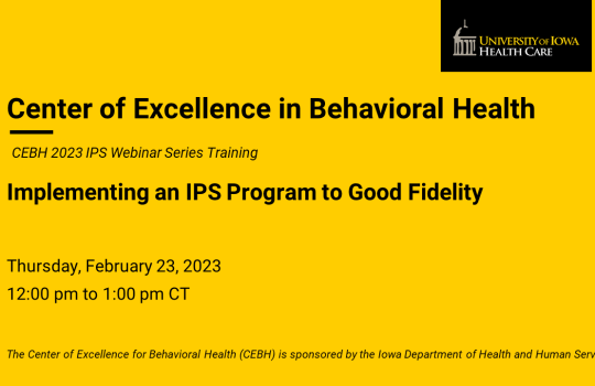 Implementation of an IPS Program to Good Fidelity