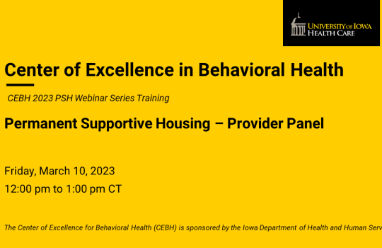 Permanent Supportive Housing – Provider Panel
