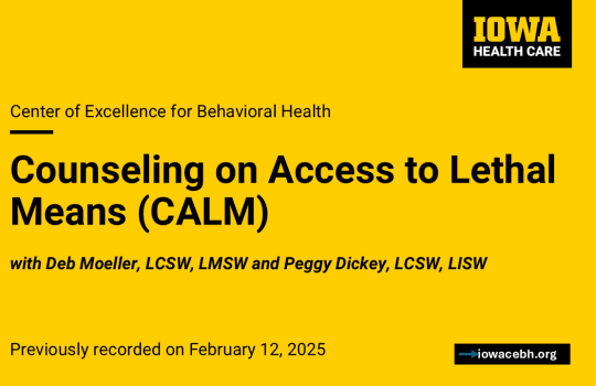 Counseling on Access to Lethal Means (CALM)