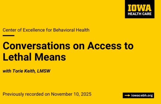 Conversations on Access to Lethal Means