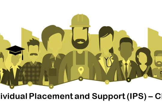 IPS 101: Introduction to the Basics